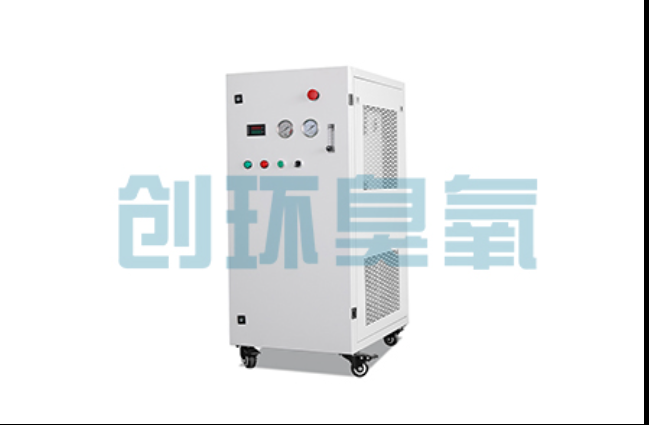 怒江工厂化养鲈必看:2026年臭氧发生器替代传统消毒的最新方案