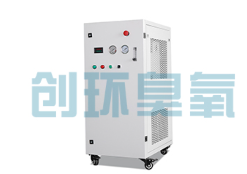 怒江石斑鱼养殖水质调控完整指南：臭氧发生器配置与操作步骤