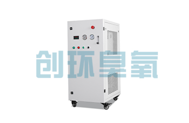 怒江比传统换水更高效？臭氧发生器在石斑鱼养殖中的水质净化原理解析
